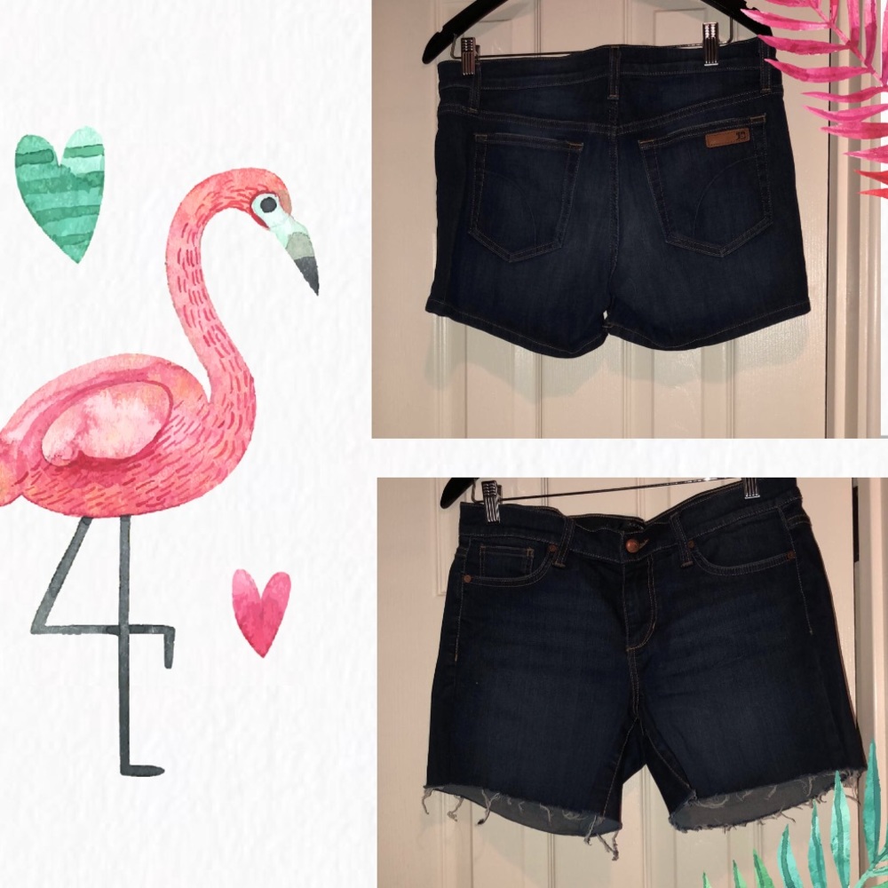 Joe shorts